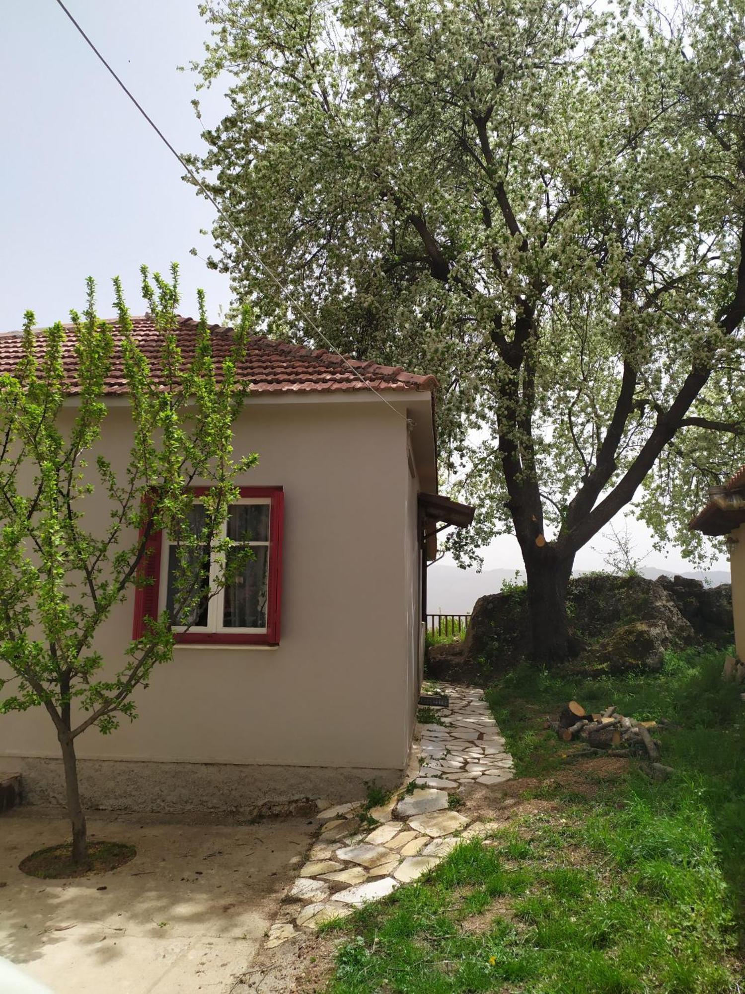 Μικρή Ζήρεια Ενοικιαζόμενη Κατοικία Синикия-Меси-Трикала Экстерьер фото